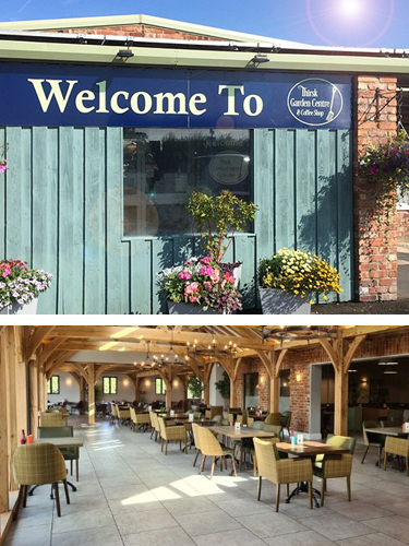 Pet friendly Thirsk