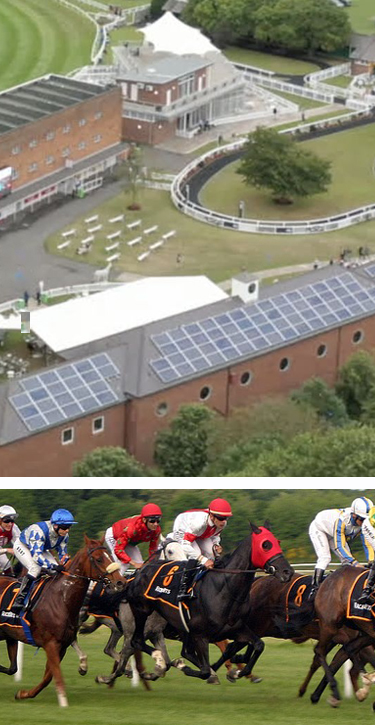 Thirsk Racing 2025