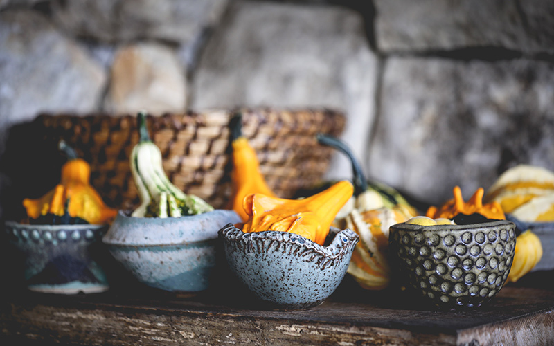 Pumpkin Patch — Ripon Walled Garden